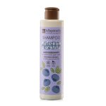 Shampoo Antiossidante Mirtillo Bio e Arginina - La Saponaria
