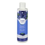 Shampoo Lucidante Mirtillo - Alkemilla